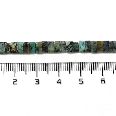 Natural African Turquoise (Jasper) Beads Strands G-Z045-A10-01-1