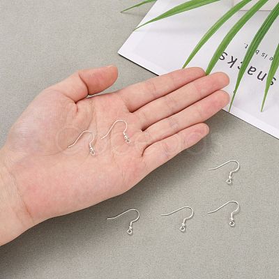 925 Sterling Silver Earring Hooks STER-K167-052S-1