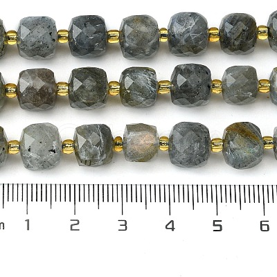 Natural Labradorite Beads Strands G-Q010-A25-01-1