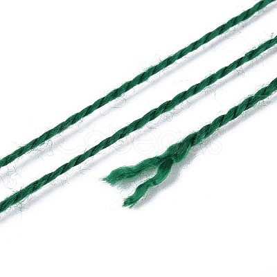 Braided Polyester Cord OCOR-T017-04A-06-1