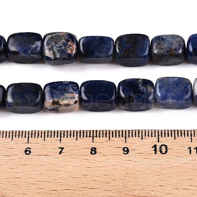 Natural Sodalite Beads Strands G-T138-107-1