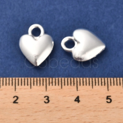 Long-Lasting Plated Alloy Charms PALLOY-A006-18S-1