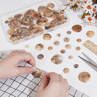 90Pcs 6 Styles Freshwater Shell Buttons SHEL-PH0001-62-1