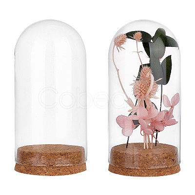 Glass Dome Cover AJEW-PH0004-19B-1