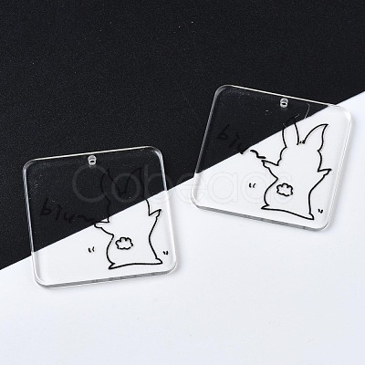 Transparent Printed Acrylic Pendants OACR-N133-001-04-1