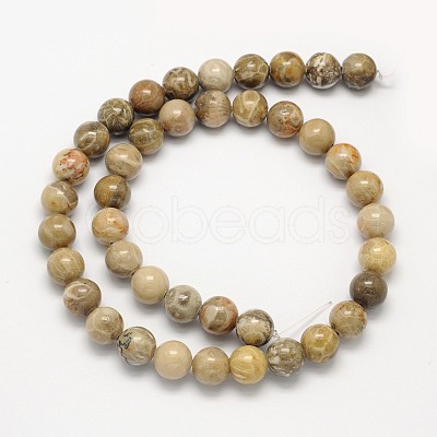 Natural Fossil Coral Round Bead Strands X-G-N0166-05-6mm-1