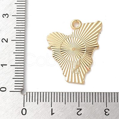 Alloy Enamel Pendants FIND-D276-01B-01-1