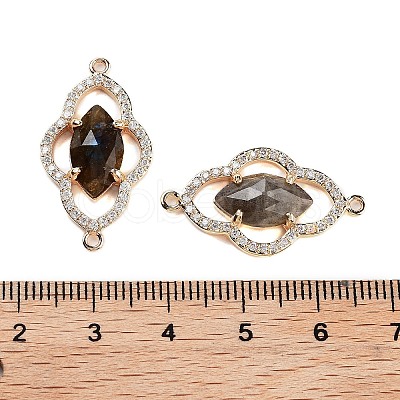 Natural Labradorite Faceted Connector Charms G-B081-01G-02-1