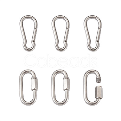 6Pcs 2 Style 304 Stainless Steel Rock Climbing Carabiners STAS-TA0001-33P-1