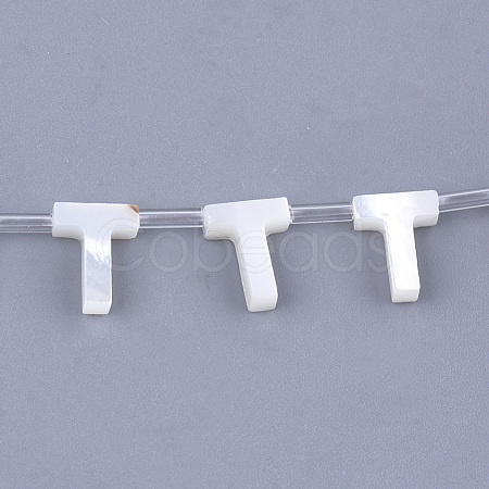 Natural Sea Shell Beads X-SHEL-T012-60T-1