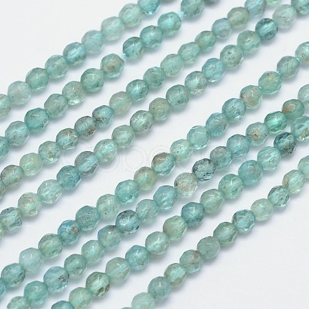 Faceted Round Natural Apatite Bead Strands G-I156-05-1