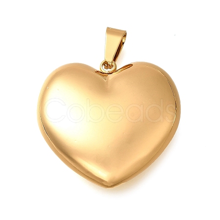 304 Stainless Steel Pendants LS-STAS-H200-01G-15-1