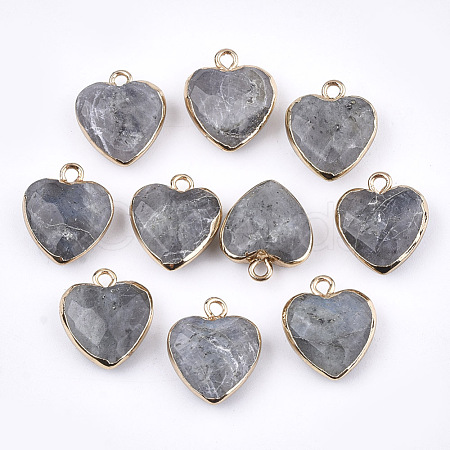 Electroplate Natural Labradorite Pendants G-T112-03A-1