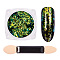 Nail Art Glitter Flakes, Starry Sky/Mirror Effect, Iridescent Glitter Flakes, with One Brush, Sea Green, 30x30x17mm, about 0.3g/box