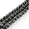 Natural Larvikite Round Beads Strands G-R342-6mm-09-1