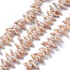Natural Spiral Shell Beads Strands BSHE-I016-08-1