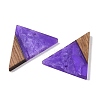 Resin & Wood Pendants WOOD-F015-06H-2