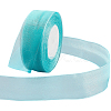 1 Rolls Sheer Organza Ribbon SRIB-CY0001-22B-06-7
