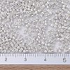 MIYUKI Delica Beads SEED-X0054-DB0551-4