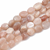 Natural Sunstone Beads Strands X-G-S331-8x10-011-1