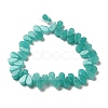 Natural Amazonite Beads Strands G-B064-B05-3