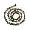 Natural Fuchsite Beads Strands X-G-C009-A02-3