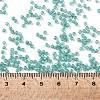 TOHO Round Seed Beads SEED-JPTR11-0954F-4