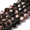 Natural Rhodonite Beads Strands G-Z119-A19-03-3