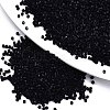 FGB 11/0 Grade A Glass Seed Beads X-SEED-S030-0049F-1