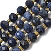 Natural Sodalite Beads Strands G-D105-B09-01-5
