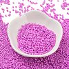 Baking Paint Glass Seed Beads X-SEED-S042-05B-90-2