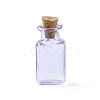 Rectangle Miniature Glass Bottles GLAA-H019-06B-1