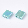 2-Hole Glass Seed Beads X-SEED-S023-19C-01-2