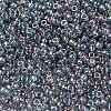 MIYUKI Round Rocailles Beads X-SEED-G008-RR2444-3
