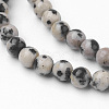 Natural Dalmatian Jasper Bead Strands G-G735-68-4mm-3