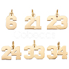 6Pcs 6 Style 316 Surgical Stainless Steel Charms STAS-UN0040-38G-1