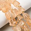 Raw Rough Natural Quartz Crystal Beads Strands G-Z131-J01-08-1