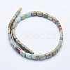 Natural Aqua Terra Jasper Beads Strands G-E444-19-2