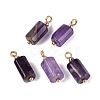 Natural Amethyst Pendants GG-N004-01G-04-1