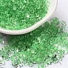 Glass Seed Beads SEED-K009-08B-07-1
