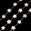Handmade 304 Stainless Steel Shell Star Link Chains CHS-B011-01B-G-1