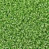 MIYUKI Delica Beads Small SEED-X0054-DBS1206-3