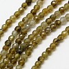 Natural Labradorite Beads Strands G-A129-3mm-H02-1