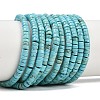 Natural Turquoise Beads Strands G-M422-C01-01-2