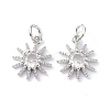 Brass Cubic Zirconia Charms ZIRC-C022-18P-1