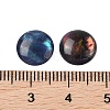 Natural Abalone Shell/Paua Shell Resin Cabochons X-SSHEL-K003-10MM-03-3