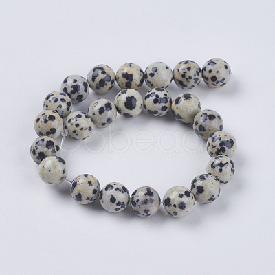 Natural Dalmation Jasper Beads Strands X-G-G515-8mm-06-1