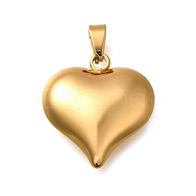 304 Stainless Steel Pendants LS-STAS-H200-01G-10-1
