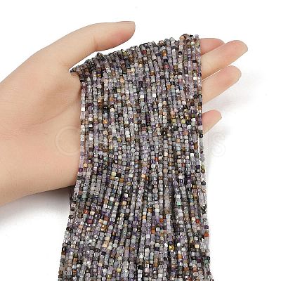 Natural Fluorite Beads Strands G-RM2025-D50-2x2mm-B-1