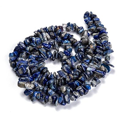 Natural Lapis Lazuli Beads Strands LS-G-F703-05B-1